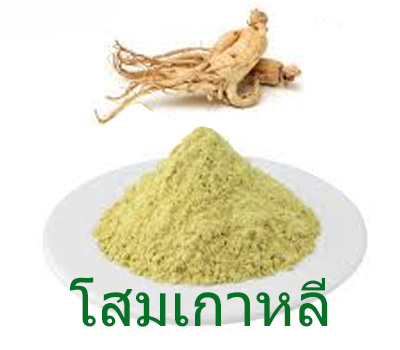 โสมสกัด