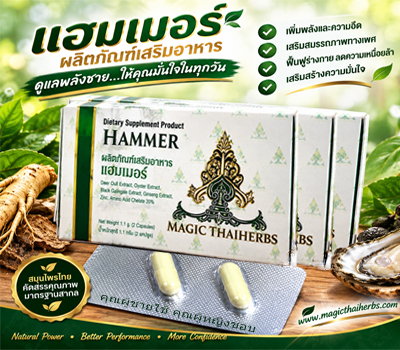 Hammer แฮมเมอร์ 